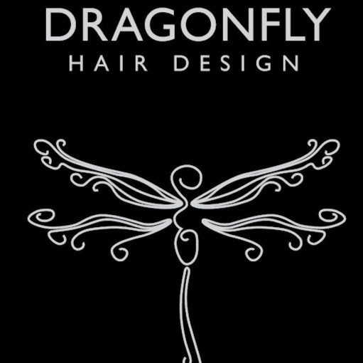 Dragonfly Hair Design logo