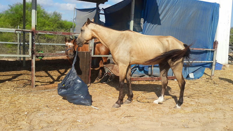 20140716_165552.jpg
