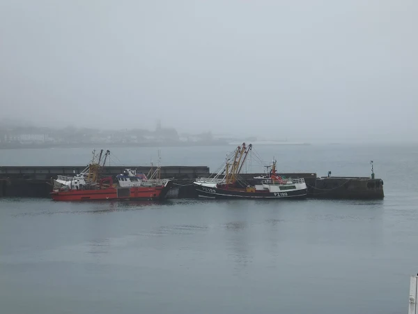 Newlyn harbour