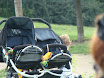 DSC01764.JPG