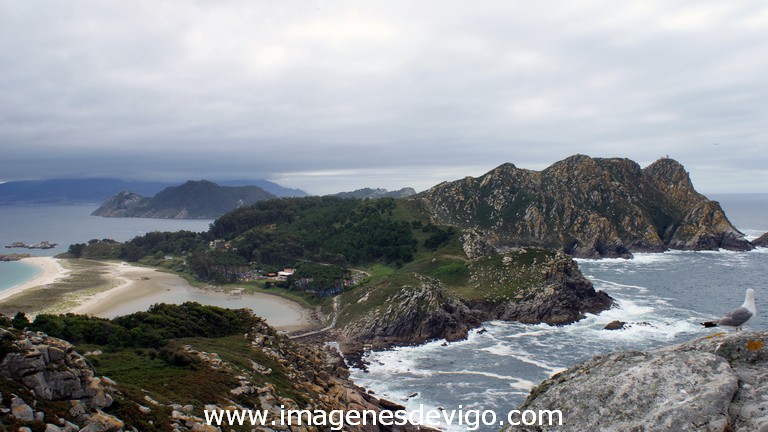 Cies Cies