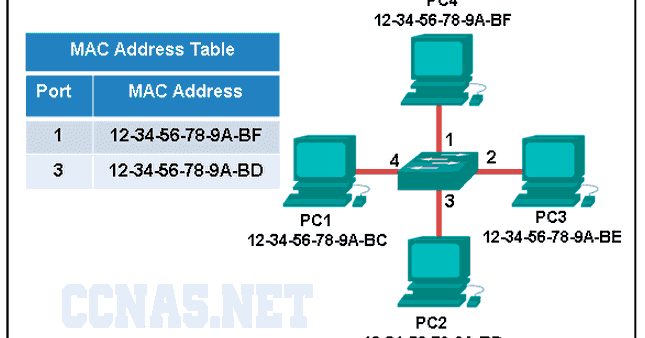 Cisco Ccna 1 V6 1 Respuestas Examen Exam Answers 2020 Ccna1 Capitulo 5