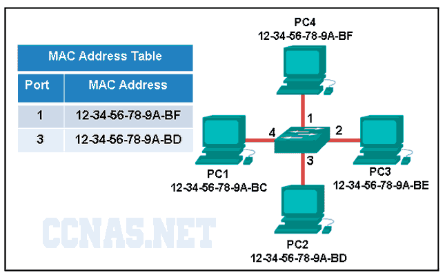 CCNA 1 Chapter 5 Exam Answer v5 & v5.02 100% - CCNA6.COM