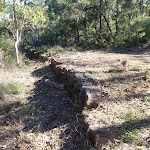 Low retaining wall on Finchs Line of road (163183)