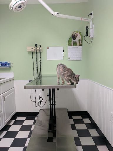Animal Hospital «Hilliard Veterinary Hospital», reviews and photos