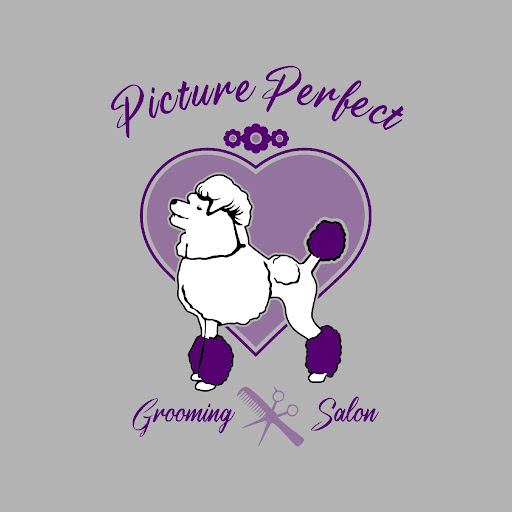 Picture Perfect Grooming Salon