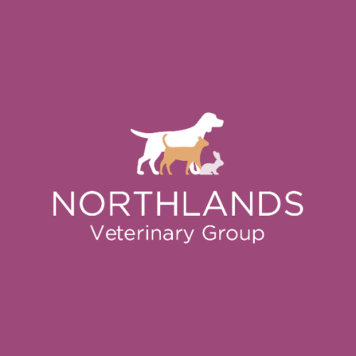 Northlands Veterinary Group, Northampton