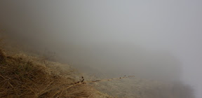 P1000022.JPG