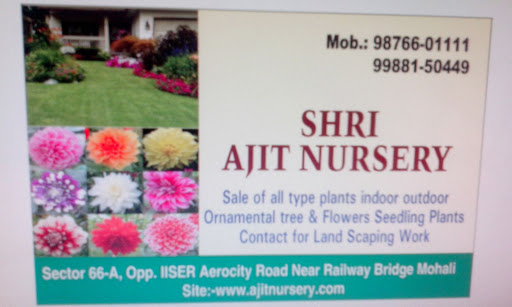 Shri Ajit Nursery, Near Railway Bridge, Opposite iiser, Aerocity Road, Sector, Phase 9, Sahibzada Ajit Singh Nagar, Punjab 160055, India, Wholesale_Plant_Nursery, state PB