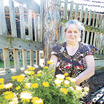 Любимые садовые цветы Александры Николаевны – горицвет, поэтому она пожелала фотографироваться только вместе с ними