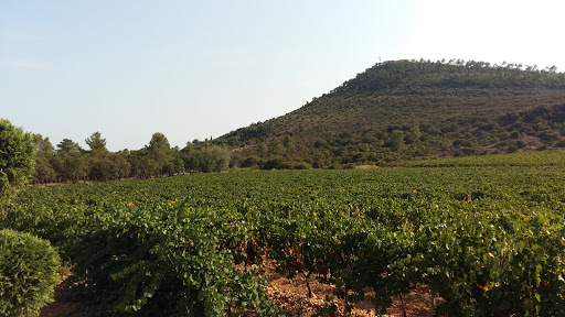 Domaine de la Bouverie