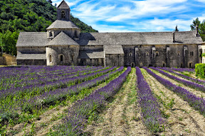 Abbaye Notre-Dame de Sénanque