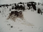 Avalanche Lizard Range, secteur Fernie Alpine Resort, Gorbie Bowl avalanche - Photo 2 - © Teppaz Fanny