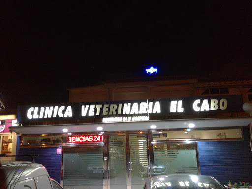 Clínica Veterinaria El Cabo - Hospital veterinario urgencias 24h Alicante.