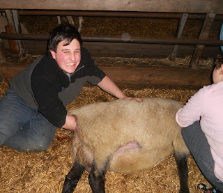 Me+pulling+lamb.JPG