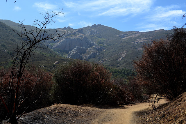 Boney Mountain coming back into view and the burn area stopping