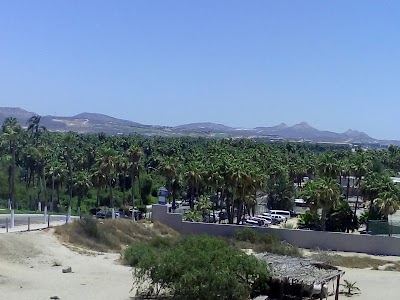 Photos of The Arch of Cabo San Lucas