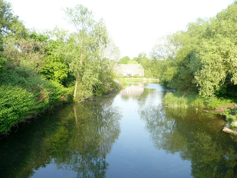 River Wensum again