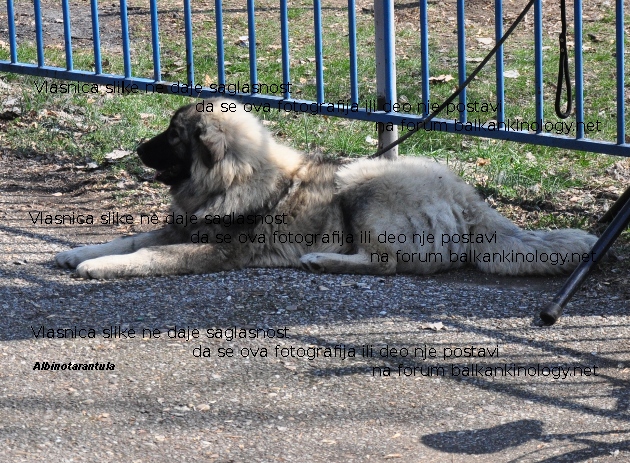 DSC_0186w.JPG