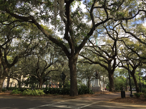 Savannah Coffee Roasters