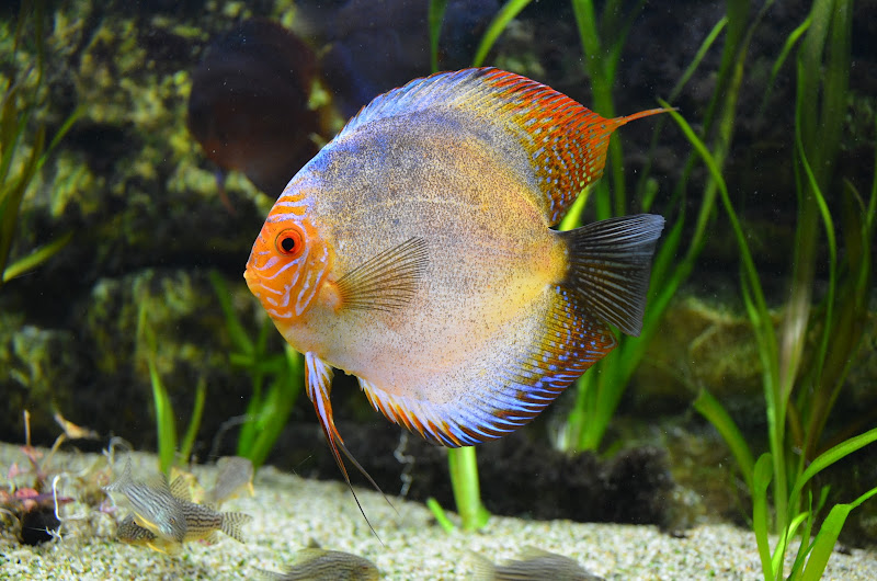 DSC_0063.JPG