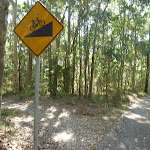 Sharing the track with bikes in Green Point Reserve (403846)