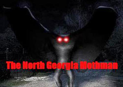 Witness The North Georgia Mothman