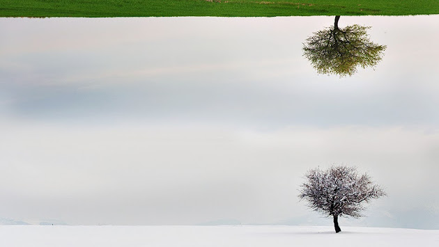 Cover photo