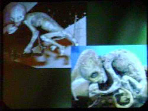 Images Of Alien Hybrid Surfaced In Ufo Conference 2009