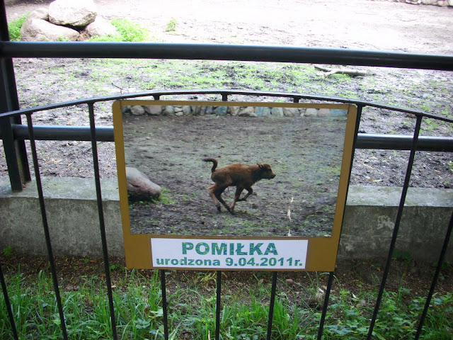 Pomiłka... https://lh6.googleusercontent.com/-45SlBLXtUQw/TifyD_1TwDI/AAAAAAAACmQ/i90P06l6WgY/s640/DSCI1862.JPG