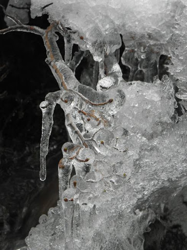Ice Ice