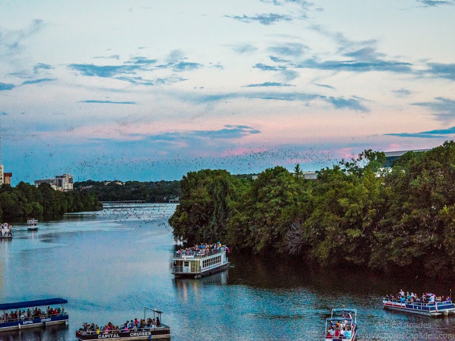 Boat tours to see these nocturnal animals