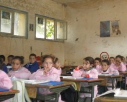 اضغط على الصورة لرؤيتها بالحجم الطبيعي