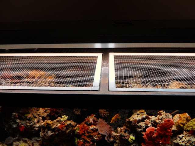 Is window screen ok to use on reef tank? - Reef Central Online Community