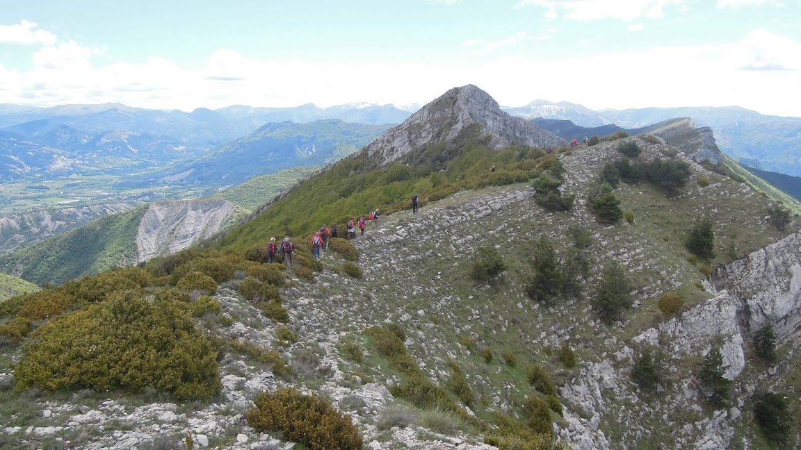 rando des Dourbes le 30 Mai 2013 DSCN2949