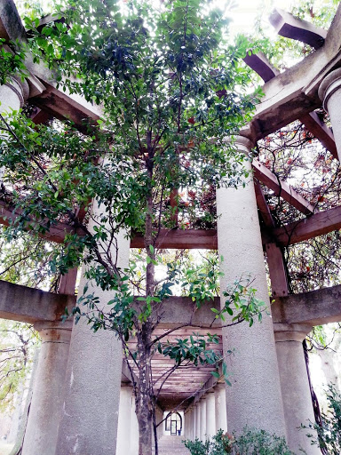 Central Park