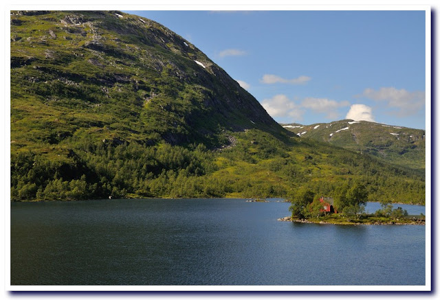 Viaje a la Noruega de los fiordos III - Viaje a la Noruega de los fiordos y Copenhague. (8)