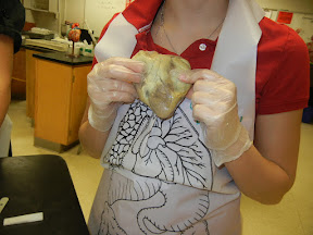 student holding heart
