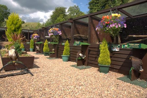 Fir Tree Farm Caravan Site