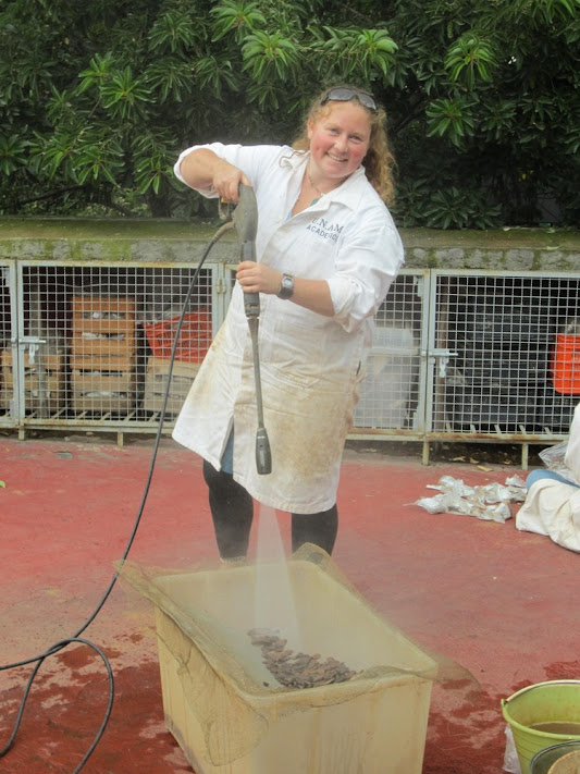Cleaning ceramics from our excavations at UNAM in Mexico City