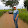 Celso Caetano Celso Caetano's profile photo