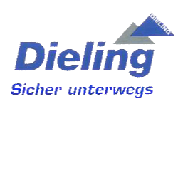 Taxi- und Mietwagenbetrieb M. Dieling logo
