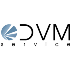 Dvm Service logo