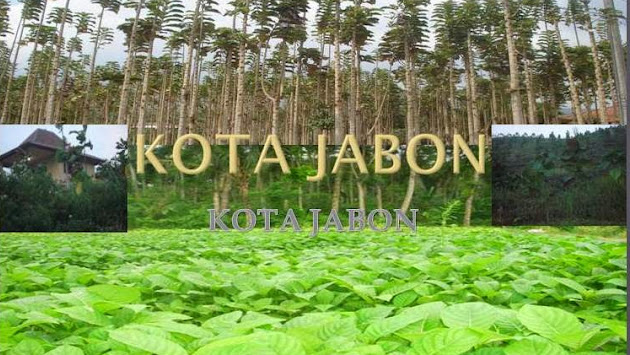 Cover photo