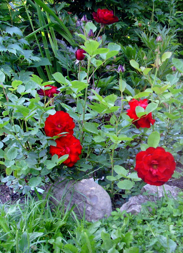 Личный кабинет FastMoney