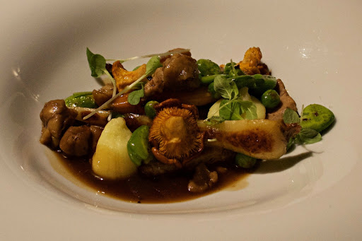 Copernicus. Restauracja
