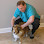 Dr. Marc Sommer, DC, CAC, AVCA Certified Animal Chiropractor - Pet Food Store in Riverdale New Jersey