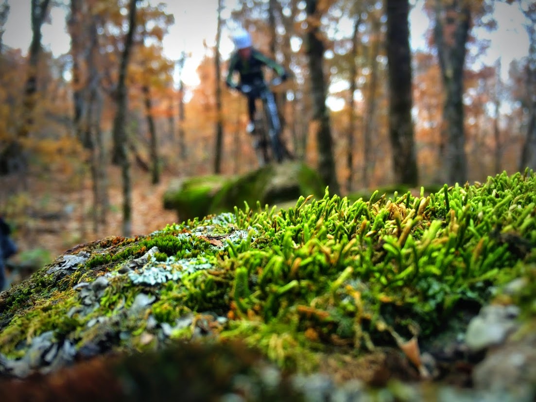 Mount Kessler  - Ozark Cycling Adventures, Cycling news and Routes in Northwest Arkansas NWA