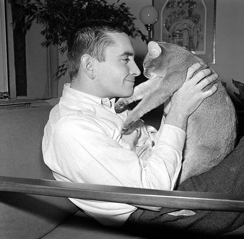 Edward Albee and his cat