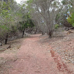 Track heading south up to Mowarry Point (104455)